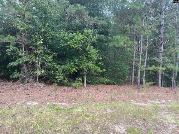 Festival Trail Rd, Salley, SC 29137