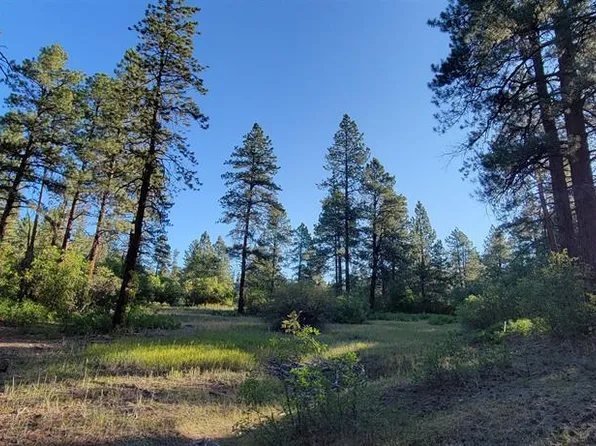 Lot 5 Beaver Creek Ranch Dr, Bayfield, CO 81122