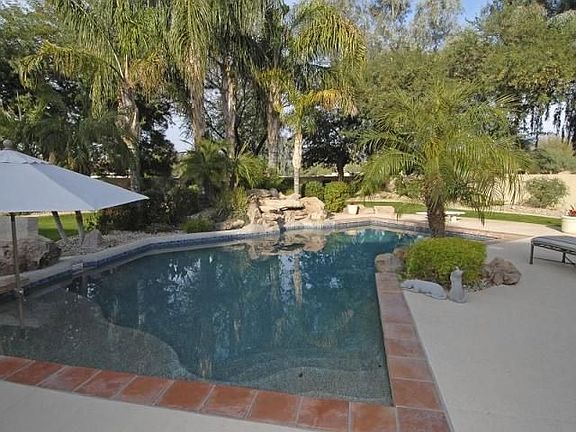 Resort style back yard