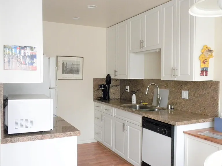 1st Level - Kitchen: stainless steel refrigerator (picture was taken before fridge was replaced), electric stove/oven, dishwasher, double sink, recessed lights, granite countertop