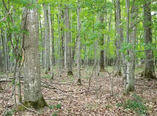 LOT 28 Mount Vernon Hills Dr, Vanderbilt, MI 49795