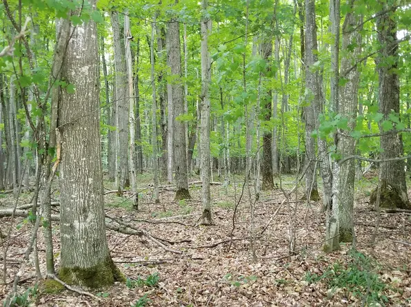 LOT 28 Mount Vernon Hills Dr, Vanderbilt, MI 49795