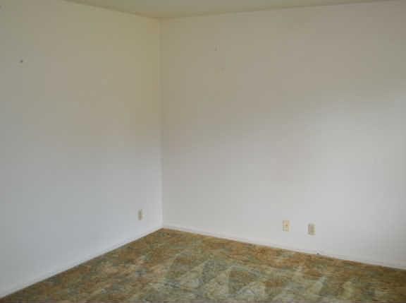 5th image of 6009 Todd Dr