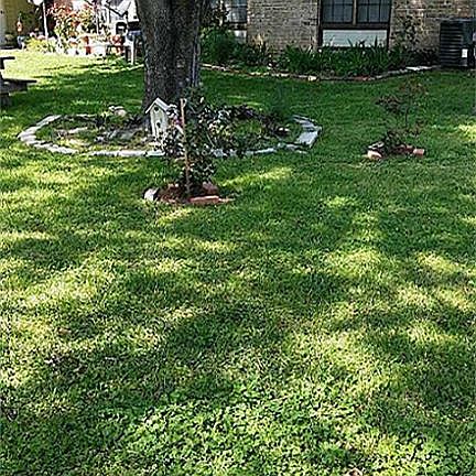 4th image of 1100 Janet Cir