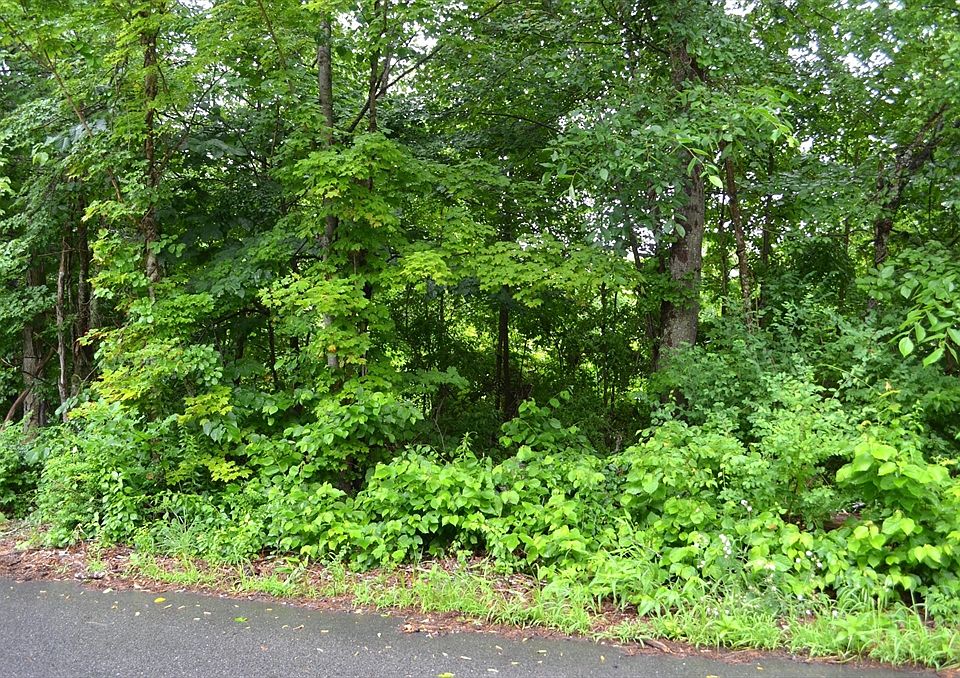 2nd image of 67 Babcock Tavern Rd