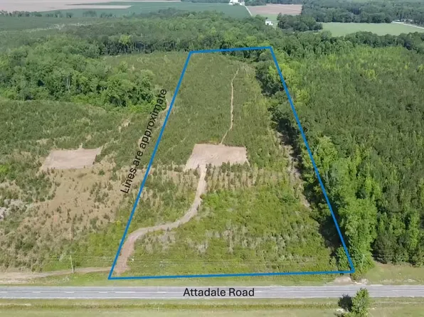 Lot 4 Attadale Rd, Blenheim, SC 29516