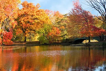 Rented by BLS Realty