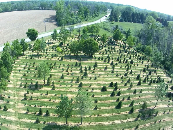 4650 Salt Works Rd #51, Medina, NY 14103