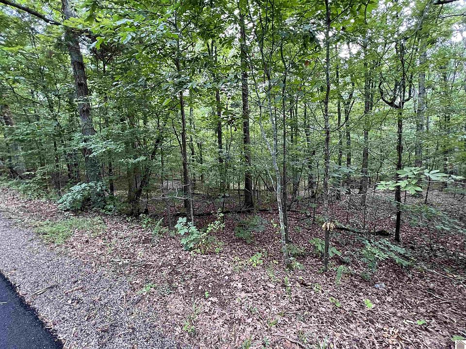1st image of 0 Beat Farmer Rd Lot 1 & 2