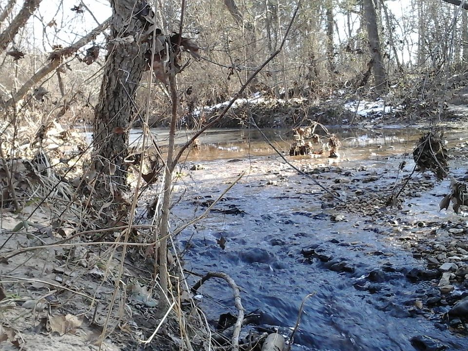 1st image of 94 Prairie Creek Ln