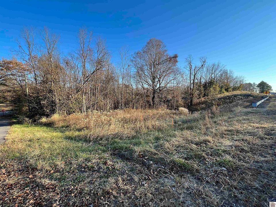 8 Atlantic Ave, Wingo, KY 42088 MLS 124702 Zillow