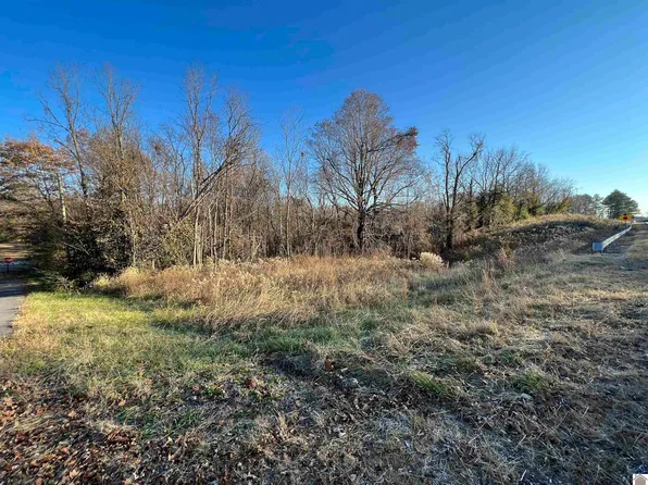 8 Atlantic Ave, Wingo, KY 42088