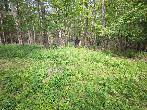 3rd image of Old Loomis Road