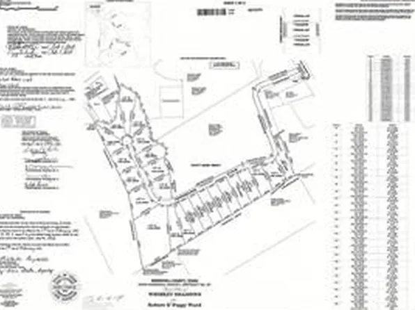 County Road 2030 Lot 8, Glen Rose, TX 76043