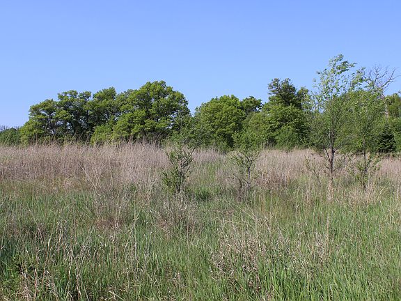 5th image of 236TH Ln NE
