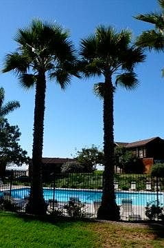 Beautiful pool and spa area