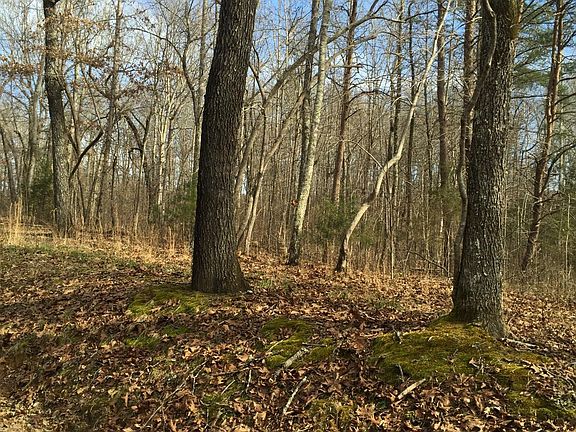 5th image of 0 County Road 263 Lot 11