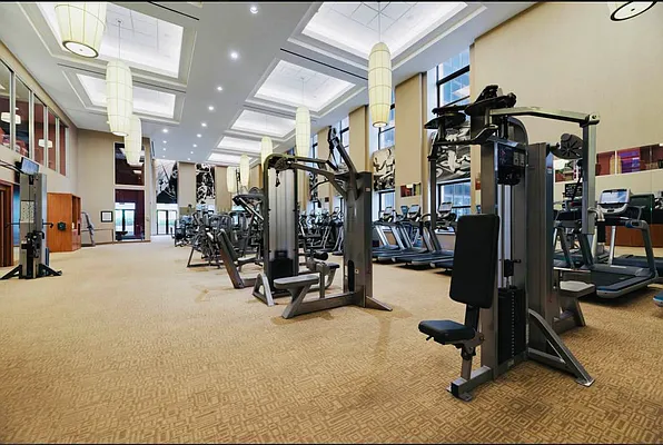 Rented by Level Group | media 15