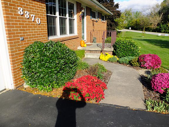 3rd image of 3370 Schwartz Dr