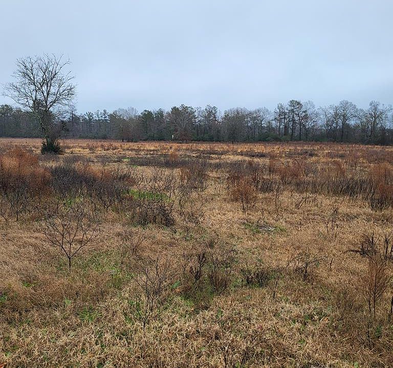 Duke Rd, Apple Springs, TX 75926 MLS 68226 Zillow