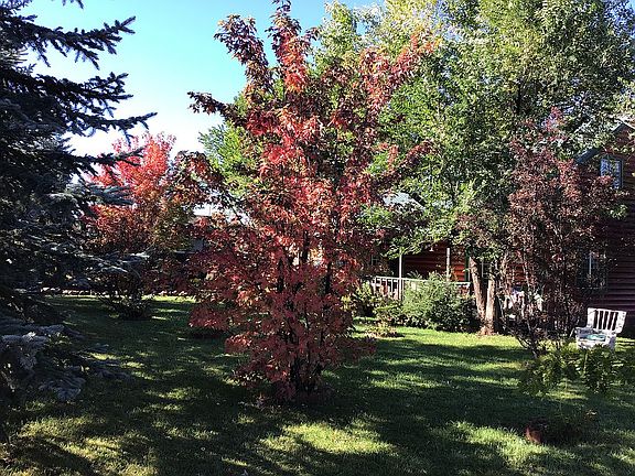 3rd image of 504 N Comanche Dr