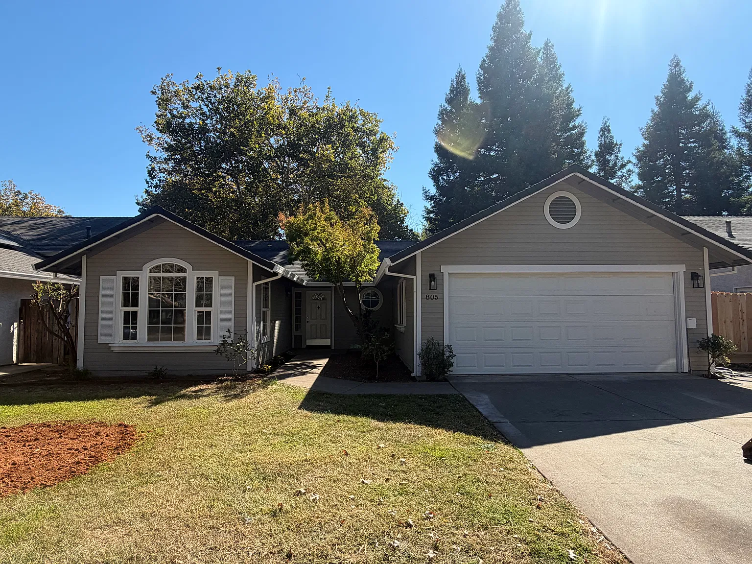 805 Penstemon Way — Photo 1