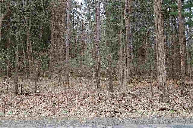 2nd image of 0 Fowler Rd
