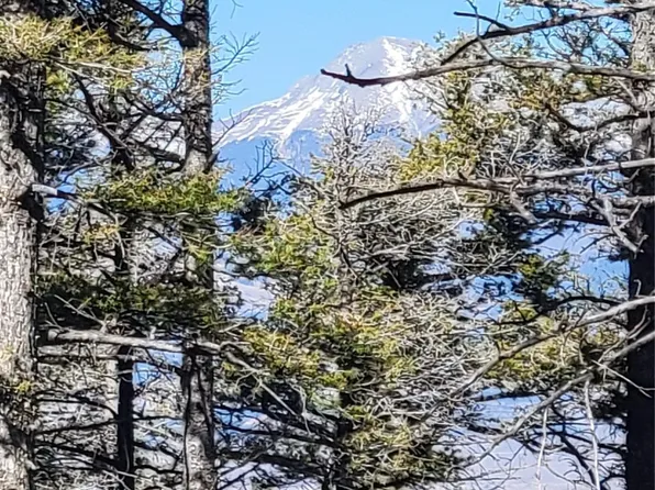 5213 Taylor Road, Fort Garland, CO 81133