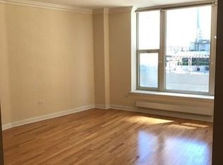 25 E Superior St APT 205, Chicago, IL 60611