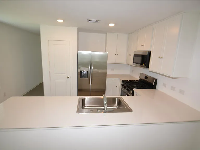 26926 Dalmatian Bellflower Dr — Photo 7