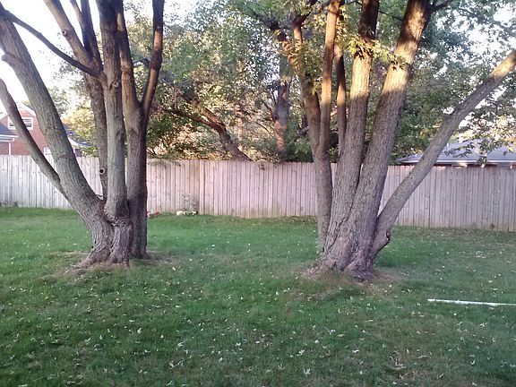 2nd image of 667 Anniston Dr