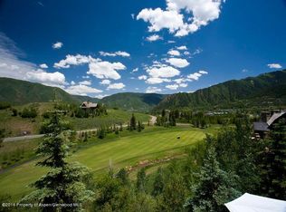 71 N Willow Ct, Aspen, CO 81611