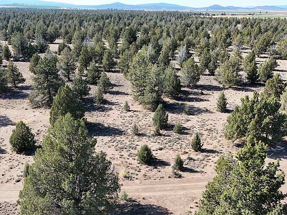 3rd image of Xx Lazy Ranch Rd