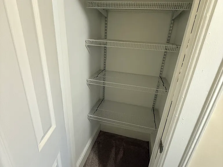Another view of the upstairs hallway closet with shelving.