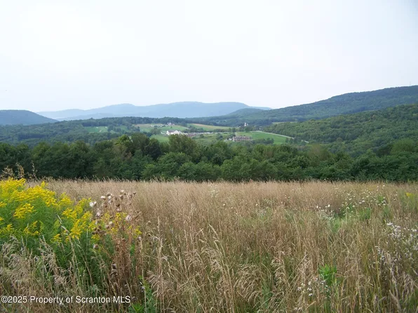 161 Middle Mountain Dr, Factoryville, PA 18419