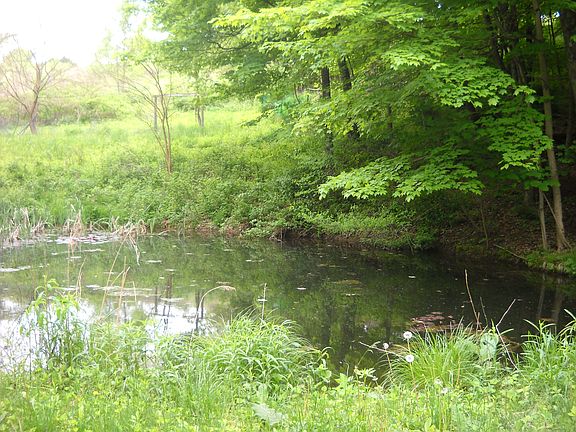 4th image of 1925 Winding Hill Road