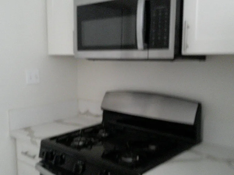 1132 S Roosevelt St #1 — Photo 6