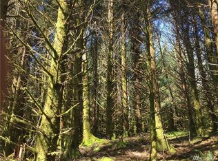 0 Chinook Valley Rd, Chinook, WA 98614