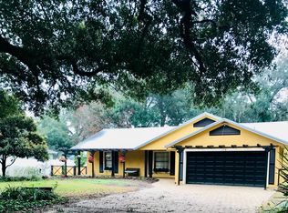 115 W Henschen Ave, Oakland, FL 34760