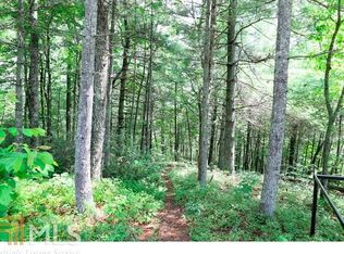0 Long Mountain Rd, Lakemont, GA 30552