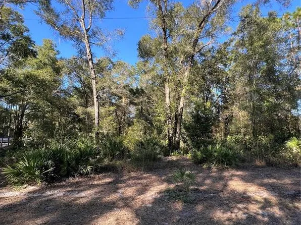 SE 179th Pl Lot 21, Summerfield, FL 34491