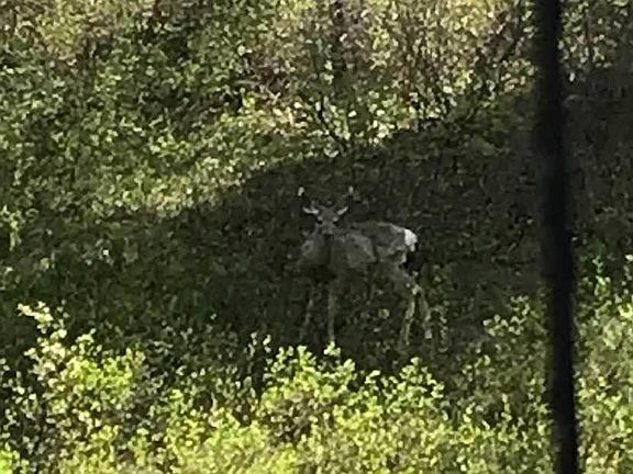 2nd image of Tbd Outlaw Trl