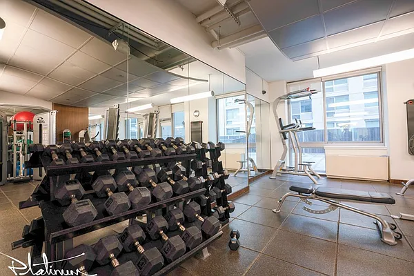 Rented by Platinum Properties | media 12