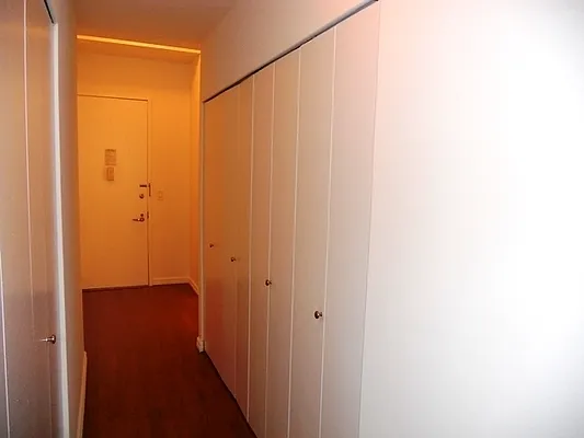 Rented by NY Living Solutions | media 66