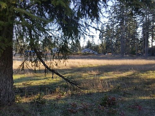 2nd image of NULLB Eustis Hunt Rd