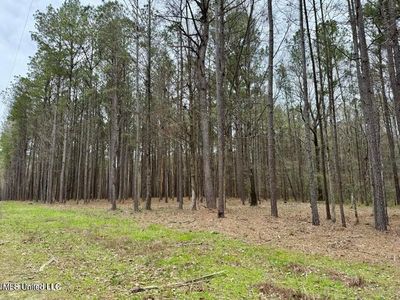 1 Robinson Rd, Canton, MS, 39046