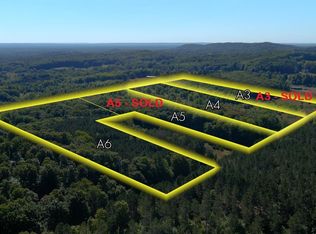 PARCEL A4 Wallaker Rd, Benzonia, MI 49616