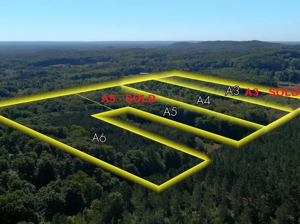 PARCEL A6 Wallaker Rd, Benzonia, MI 49616