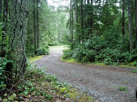 Woodsy, private drive