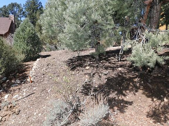 5th image of Beaumont Ln